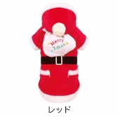 クリスマスサンタ