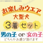 お楽しみウエアセット（大型犬）～秋冬Ver～